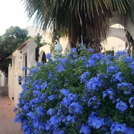 Vakantiehuis Corazon Torrevieja