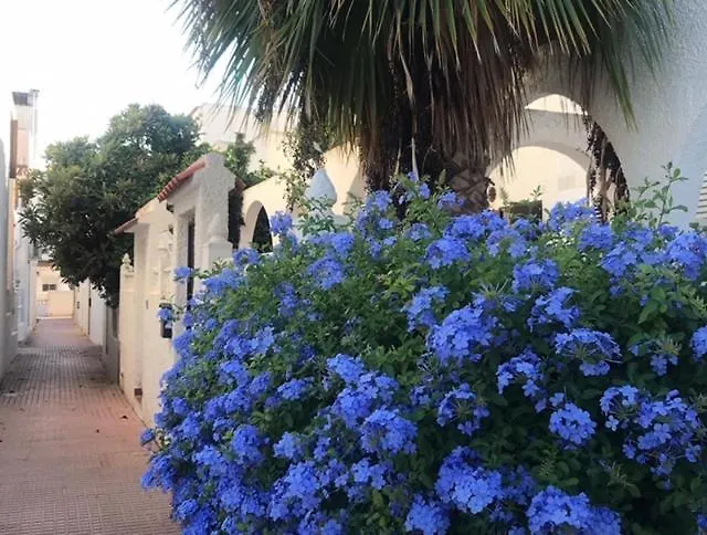 Dom wakacyjny Corazon Torrevieja